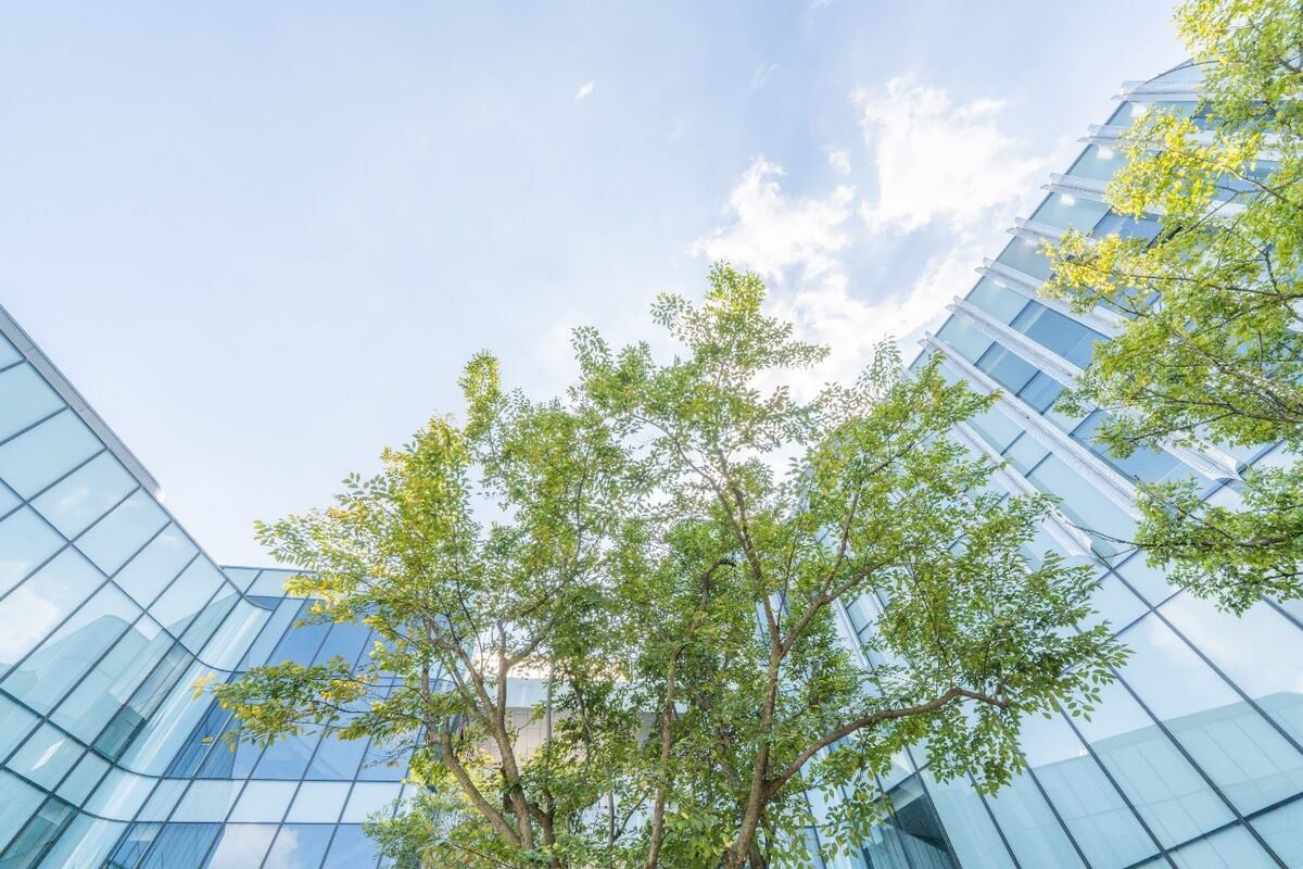 Glass front of office building with bright green trees, above blue sky with white cloud