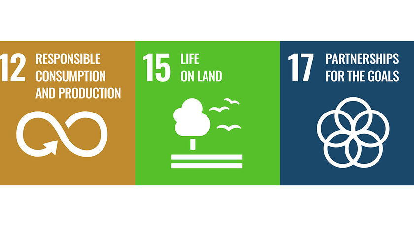 Drei gleichgroße bunte Flächen mit jeweils einem Ikon und Text in Weiß. Von links nach rechts: „12 RESPONSIBLE CONSUMPTION AND PRODUCTION“, „15 LIFE ON LAND“, „17 PARTNERSHIPS FOR THE GOALS“