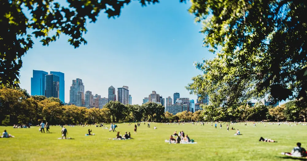 Wiese mit Menschen und Hochhäusern im Hintergrund