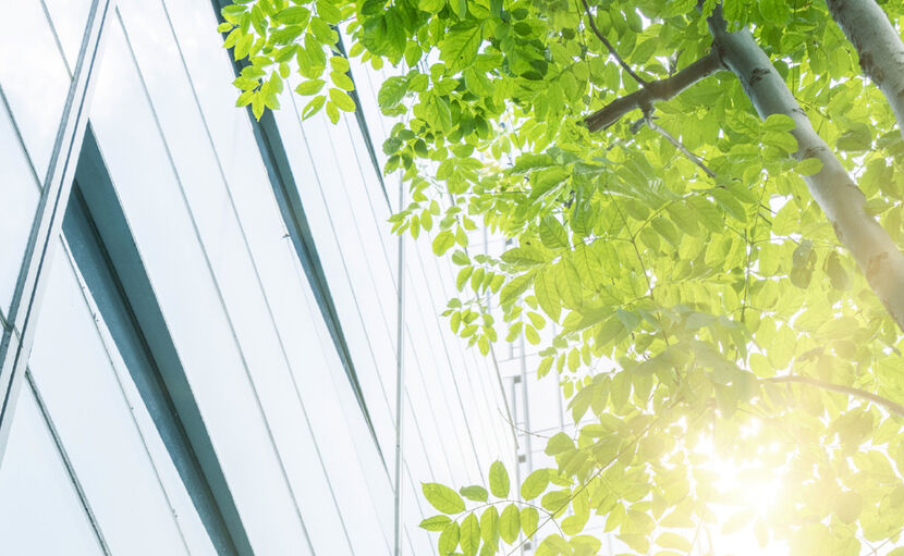 Gläserne Fassade eines Bürogebäudes aus der Perspektive von unten, daneben zwei schmale Baumstämme mit Ästen voller leichtend grüner Blätter, durch die die Sonne scheint